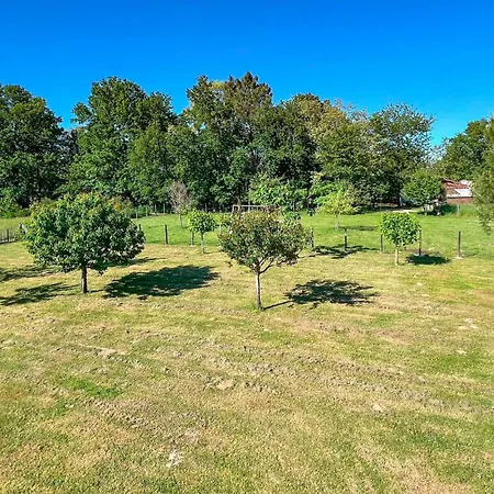Feriehus Pet Friendly In Eyraud-crempse-maurens