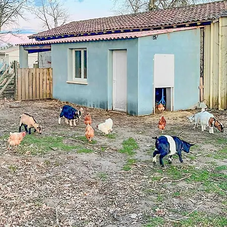 Pet Friendly In Eyraud-crempse-maurens *
