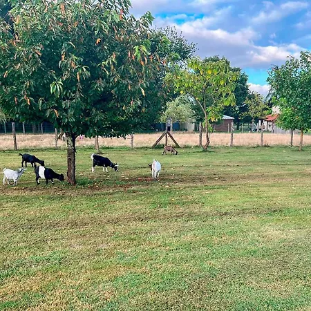 Pet Friendly In Eyraud-crempse-maurens * Laveyssiere