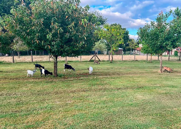 Lovely In Eyraud-crempse-maurens * Saint-Jean-dʼEyraud